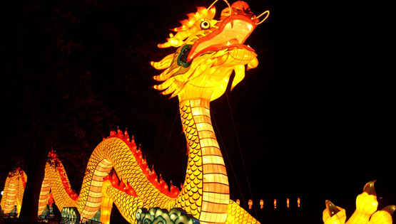 Chinese Porcelain Art Exhibition